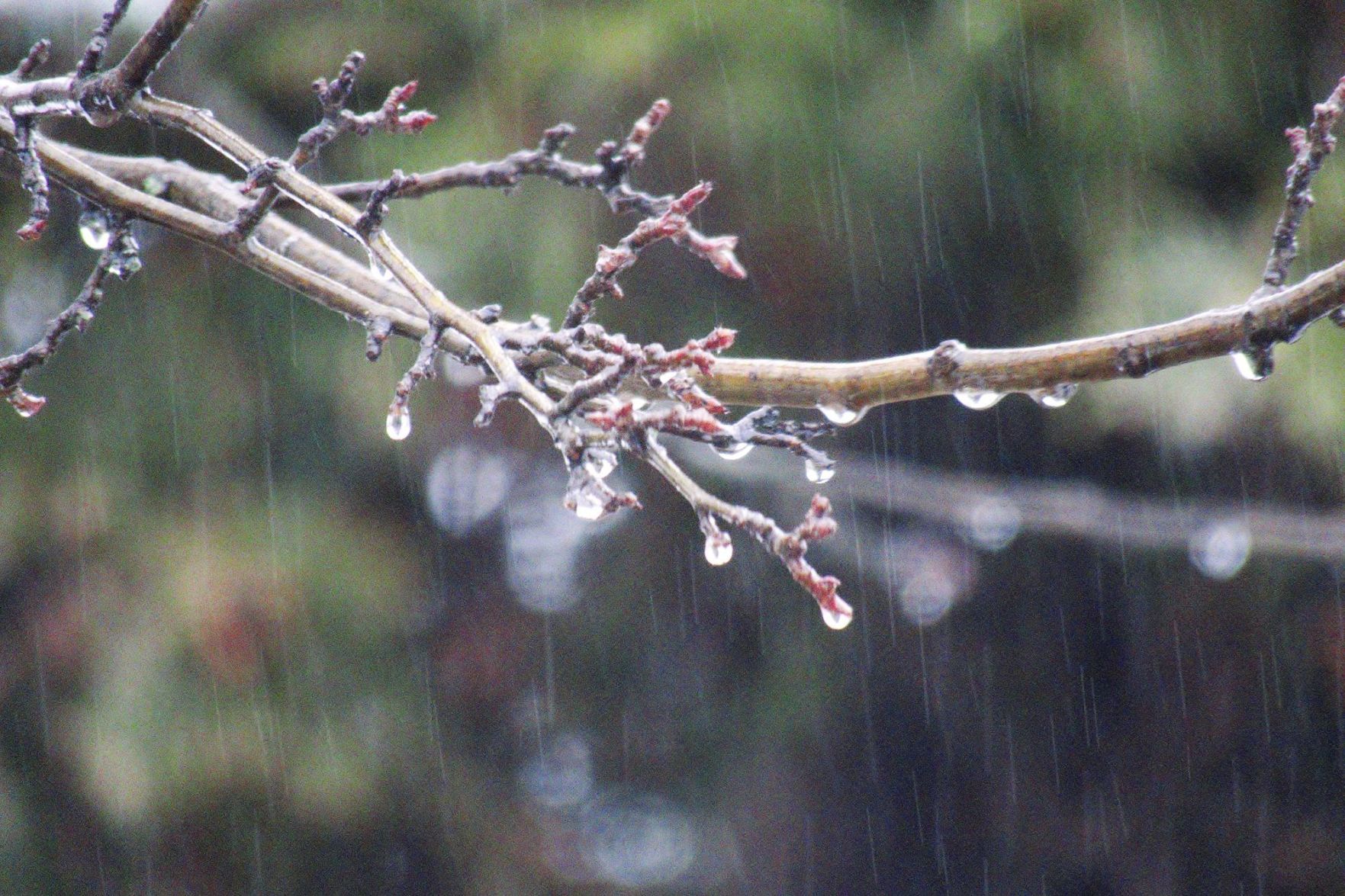 Rainy Day